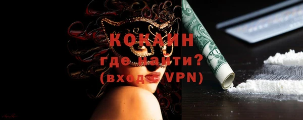 индика Сафоново