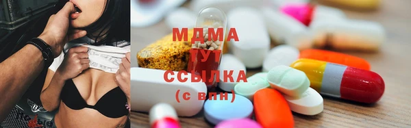 крисы Бородино