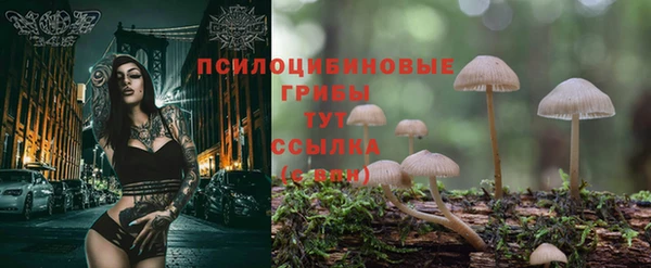 а пвп мука Беломорск