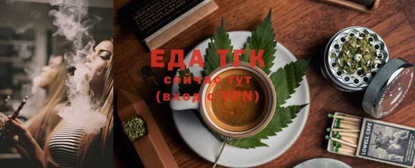 индика Сафоново